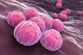 Chlamydia Antigen Rapid Test Cassette