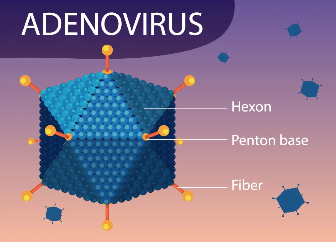 Adenovirus Antigen Rapid Test