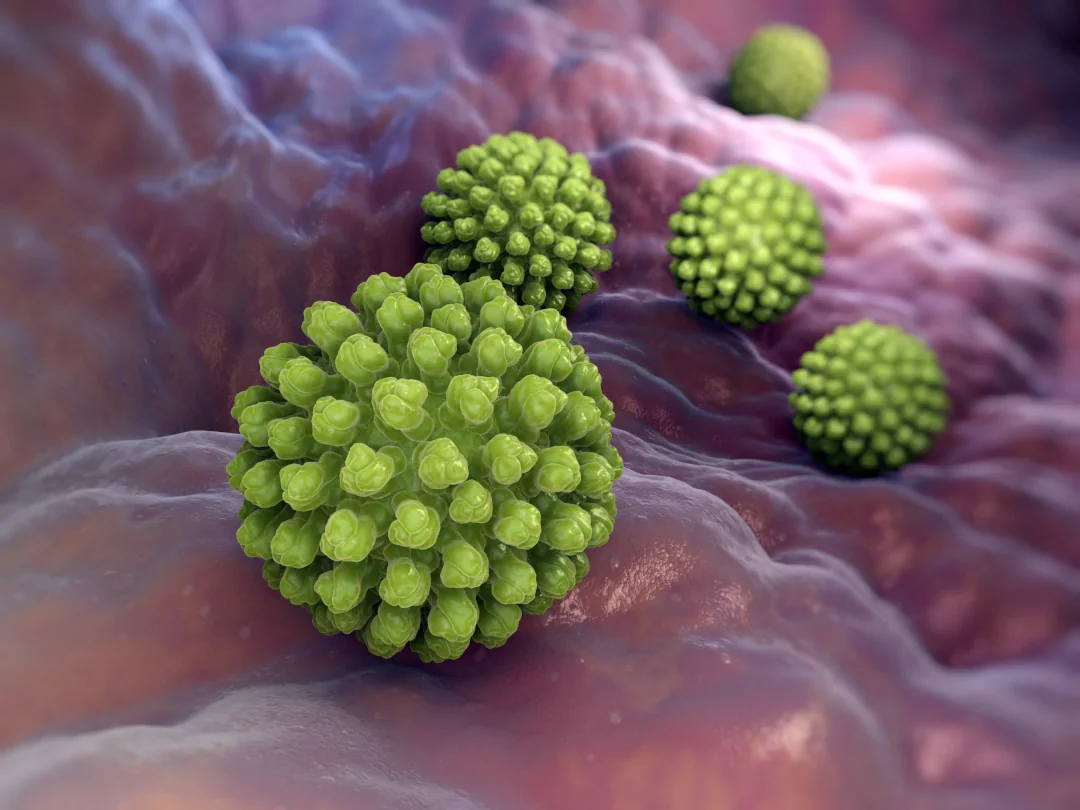 Rotavirus Antigen Test Kit