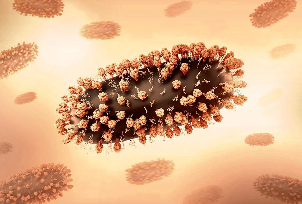 RSV Antigen rapid test kits